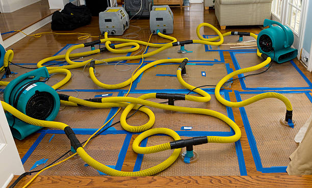 Professional Water Extraction technician working in Yarmouth Port, MA
